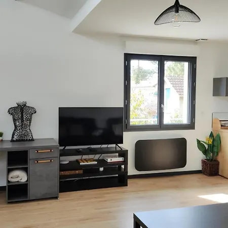 Papillon***. Location 1er Etage. * Ronce-les-Bains