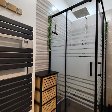 Daire Papillon***. Location 1er Etage. Ronce-les-Bains
