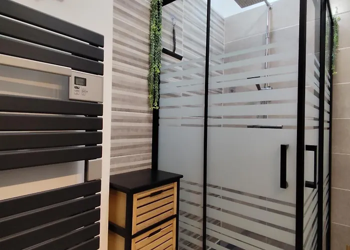 Apartamento Papillon***. Location 1er étage. Ronce-les-Bains